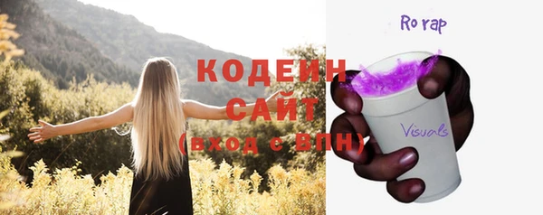 Альфа ПВП Лагань
