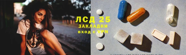 Альфа ПВП Лагань