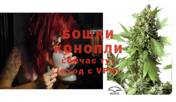 Альфа ПВП Лагань