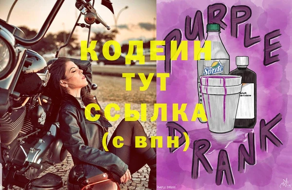Альфа ПВП Лагань